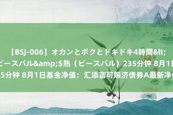 【BSJ-006】オカンとボクとドキドキ4時間</a>2008-04-21ビースバル&$熟（ビースバル）235分钟 8月1日基金净值：汇添富可赈济债券A最新净值1.7193，跌0.23%