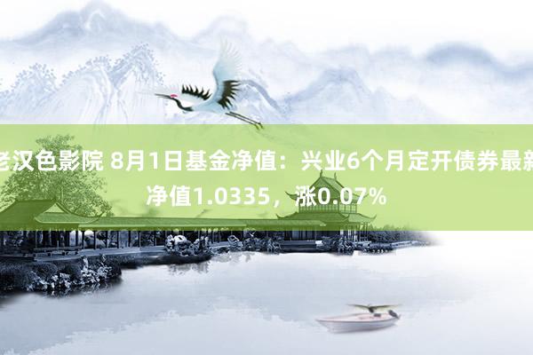 老汉色影院 8月1日基金净值：兴业6个月定开债券最新净值1.0335，涨0.07%