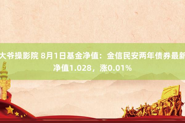 大爷操影院 8月1日基金净值：金信民安两年债券最新净值1.028，涨0.01%