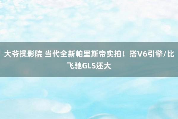 大爷操影院 当代全新帕里斯帝实拍！搭V6引擎/比飞驰GLS还大