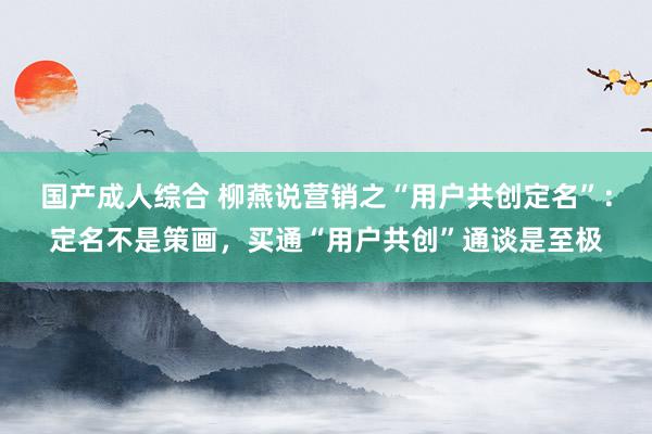 国产成人综合 柳燕说营销之“用户共创定名”：定名不是策画，买通“用户共创”通谈是至极