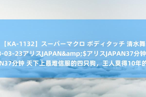 【KA-1132】スーパーマクロ ボディタッチ 清水舞</a>2008-03-23アリスJAPAN&$アリスJAPAN37分钟 天下上最难信服的四只狗，王人莫得10年的熏陶。信服它们像登天