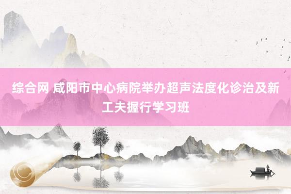 综合网 咸阳市中心病院举办超声法度化诊治及新工夫握行学习班