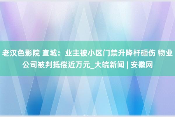 老汉色影院 宣城：业主被小区门禁升降杆砸伤 物业公司被判抵偿近万元_大皖新闻 | 安徽网