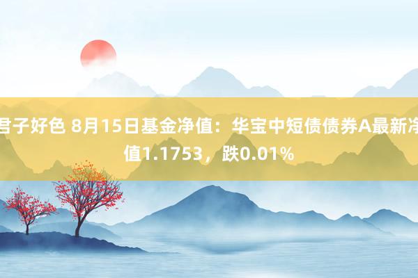 君子好色 8月15日基金净值：华宝中短债债券A最新净值1.1753，跌0.01%