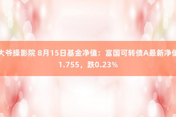 大爷操影院 8月15日基金净值：富国可转债A最新净值1.755，跌0.23%