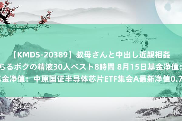 【KMDS-20389】叔母さんと中出し近親相姦 叔母さんの身体を伝い落ちるボクの精液30人ベスト8時間 8月15日基金净值：中原国证半导体芯片ETF集会A最新净值0.7718，涨0.55%