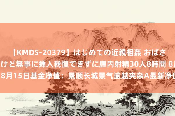 【KMDS-20379】はじめての近親相姦 おばさんの誘いに最初は戸惑ったけど無事に挿入我慢できずに膣内射精30人8時間 8月15日基金净值：景顺长城景气逾越夹杂A最新净值0.6135，涨0.62%