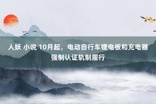 人妖 小说 10月起，电动自行车锂电板和充电器强制认证轨制履行