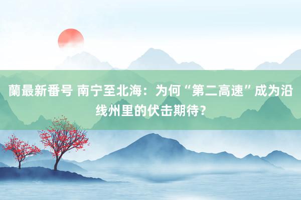 蘭最新番号 南宁至北海：为何“第二高速”成为沿线州里的伏击期待？