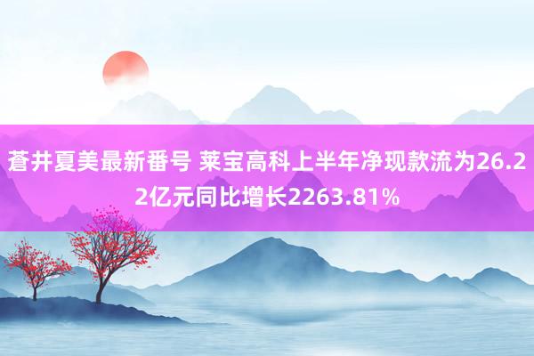 蒼井夏美最新番号 莱宝高科上半年净现款流为26.22亿元同比增长2263.81%