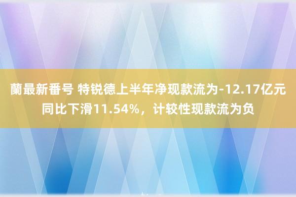 蘭最新番号 特锐德上半年净现款流为-12.17亿元同比下滑11.54%，计较性现款流为负