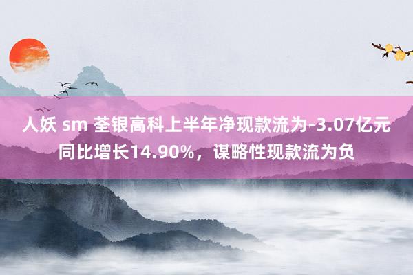 人妖 sm 荃银高科上半年净现款流为-3.07亿元同比增长14.90%，谋略性现款流为负