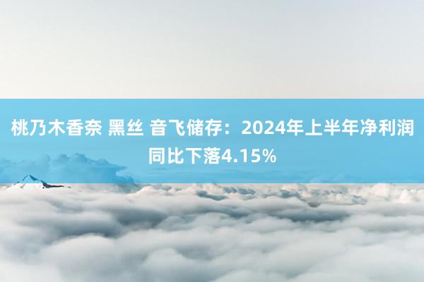 桃乃木香奈 黑丝 音飞储存：2024年上半年净利润同比下落4.15%