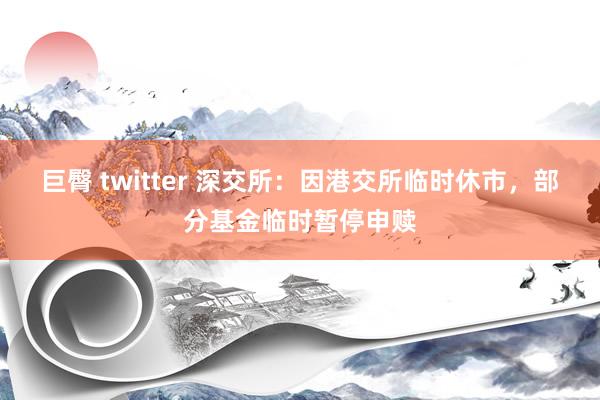 巨臀 twitter 深交所：因港交所临时休市，部分基金临时暂停申赎