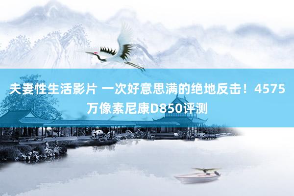 夫妻性生活影片 一次好意思满的绝地反击！4575万像素尼康D850评测