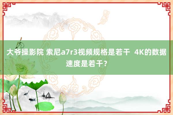 大爷操影院 索尼a7r3视频规格是若干  4K的数据速度是若干？