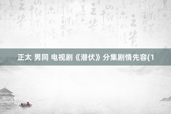 正太 男同 电视剧《潜伏》分集剧情先容(1