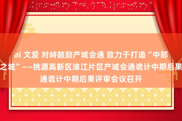 ai 文爱 对峙鼓励产城会通 致力于打造“中部鞋王人、智显之城”——桃源高新区漳江片区产城会通诡计中期后果评审会议召开